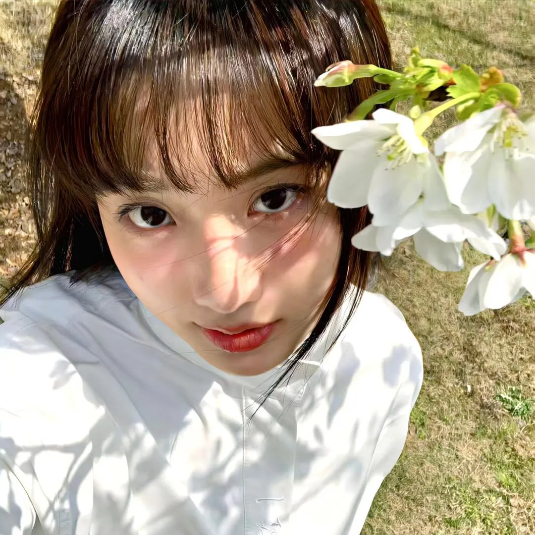 篮球旋风 在线观看