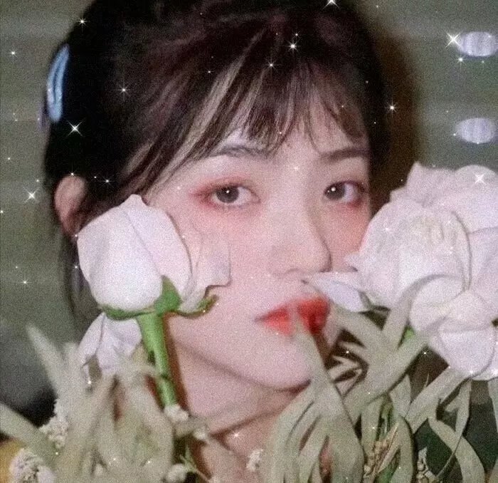 密噬派对 在线观看
